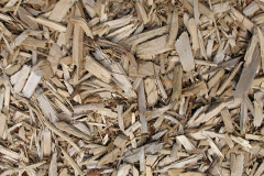 biomass boilers Sandplace